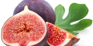 Fig