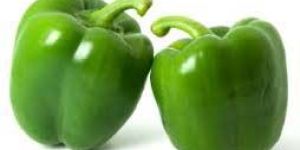 Fresh Green Capsicum