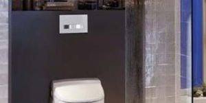 Bathroom Actuator Plates