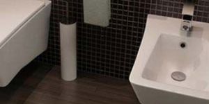 Sanitary Toilet Bidets