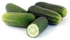 Fresh Cucumber