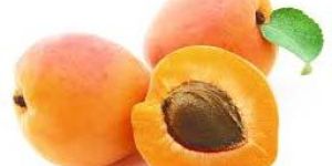 Fresh Apricot
