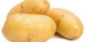 Fresh Potato