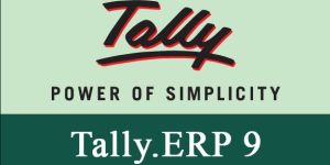 Tally Training Institute Services