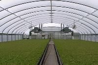 Greenhouse Equipment
