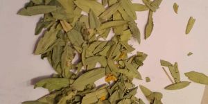 Senna Leaves