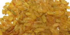 Yellow Raisins