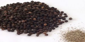 Black Pepper