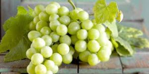 Fresh Grapes