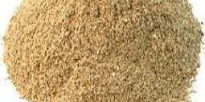 Oyster Mushroom Powder