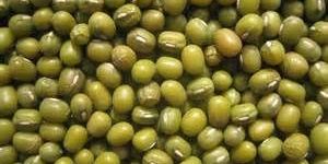 Mung Beans