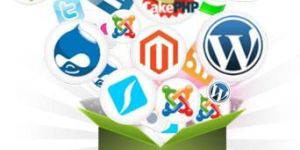 Software Application Development