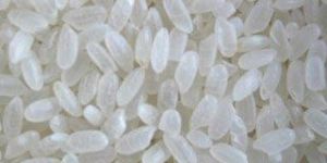 Short Grain Rice