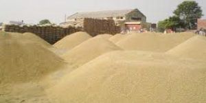 Paddy Procurement Services