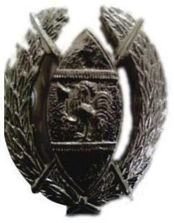 Metal Insignias