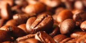 Organic Coffee
