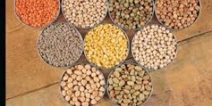 Organic Pulses