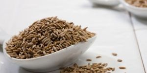 Cumin Seed