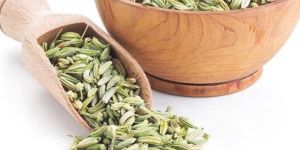 Fennel Seeds