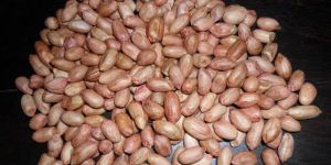 Peanut