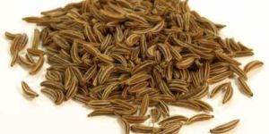 Cummin Seed