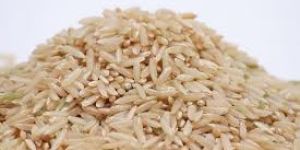 Brown Rice