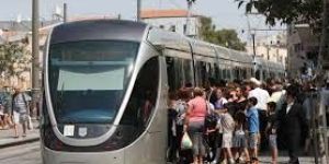 Local Transportation Services