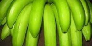 Green Banana