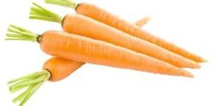 Fresh Carrot