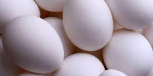 Poultry Eggs
