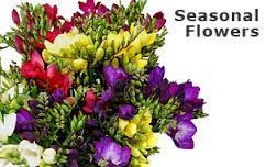 Fresh Seasonal Flowers