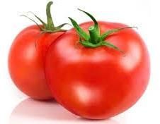 Fresh Tomato