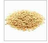 Sesame Seeds