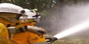 Power Spray Hose