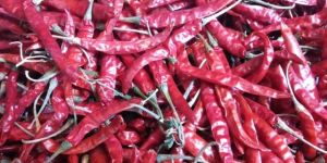 Red Peppers