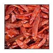 Dried Red Chilli