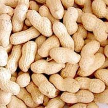 Shelled Groundnuts