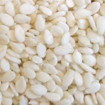 White Sesame Seeds