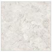 Polished Series Tiles (600 X 600 MM)