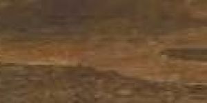 Rustic Series Tiles (1200 X 196 MM)