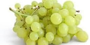Fresh Green Grapes