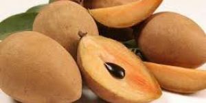 Fresh Sapodilla