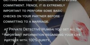 Private Investigators