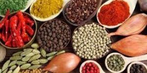 Indian Spices