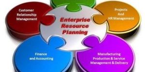 Ecommerce ERP Integration Service