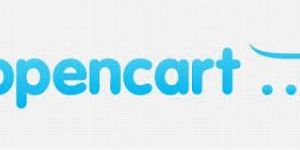 Opencart Services
