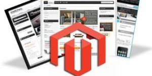 Ecommerce Website Development Services