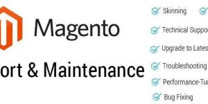 Ecommerce Website Maintenance