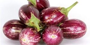 Brinjal