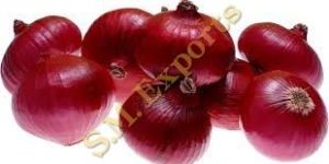 Red Onion